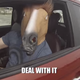 Illustration for article titled Fiats New Ad Campaign Is Horrible, Again